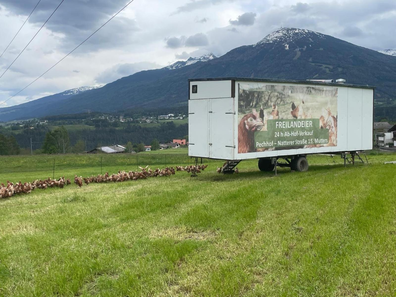 Pechhof Villa Innsbruck Ngoại thất bức ảnh